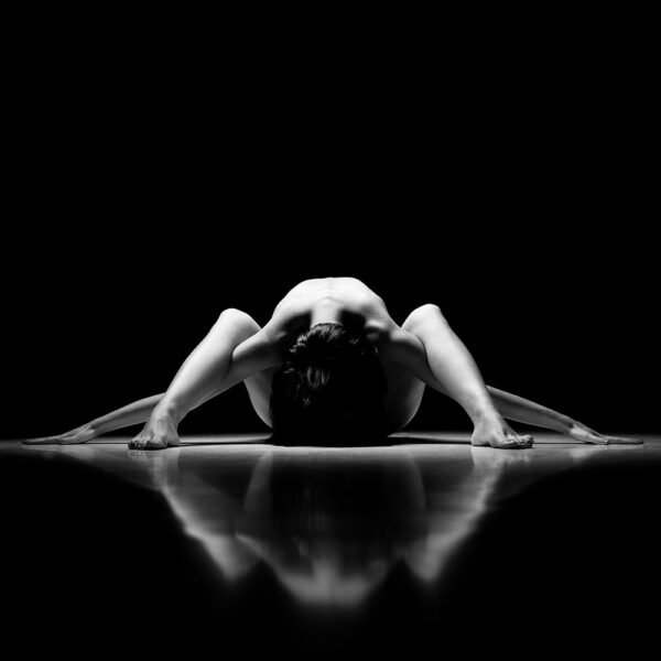 Img47 1 600x600